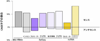 理研、マウスの全臭覚受容体遺伝子の87.5%の転写開始点の位置を同定