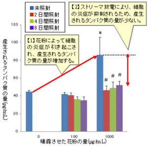 ダイキン工業など、スギ花粉が細胞を一部破壊する有毒性を持つことも解明