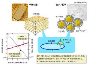 反磁性体とされてきた金が実は磁性体 - JASRIなどが発見