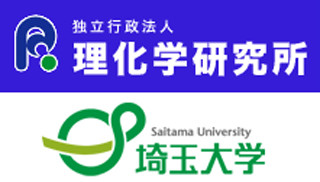 理研と埼玉大、有機薄膜太陽電池の実用化に向けて技術研究組合を設立