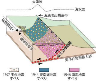 東大大気海洋研とJAMSTEC、南海トラフで津波地震型の巨大分岐断層を発見