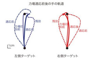 同じ身体運動を脳は多彩なパターンで制御できる冗長性を持つ - 東大が証明