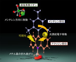 人工光合成実現へ一歩前進 - 東工大などがエネルギー変換の様子を直接観察