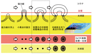 JAXAなど、太陽観測衛星「ひので」を駆使して太陽黒点の新たな仕組みを解明