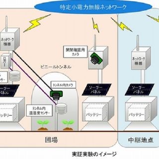 富士通、山梨県で農園情報センシングネットワーク活用の栽培実証実験