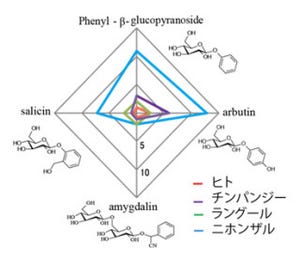 京大ら、同じ霊長類でも食物の好みが違うのは味覚受容体の変異が理由と解明