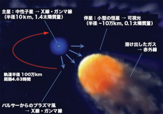 早大ら、伴星を共食いする宇宙の毒蜘蛛「ブラックウイドウパルサー」を観測