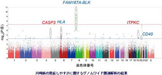 理研、多施設共同研究により川崎病発症に関わる3つの遺伝子領域を発見