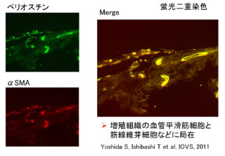 九大やボナックなど、核酸医薬に関する産学連携ベンチャーを福岡市に設立