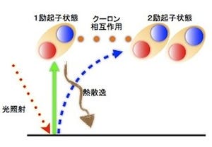 筑波大、CNTの高効率光電変換機構を解明