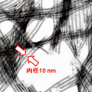 産総研、変性タンパク質の活性を回復させる有機ナノチューブゲルを開発