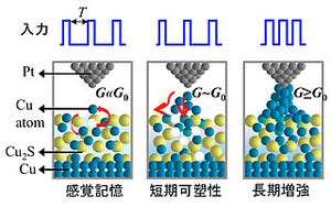 人工知能実現へ一歩前進!? - NIMS、環境依存型「シナプス素子」を開発