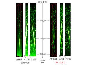 理研、「非線形光学顕微鏡」の空間分解能を約1.4～1.8倍にする技術を開発