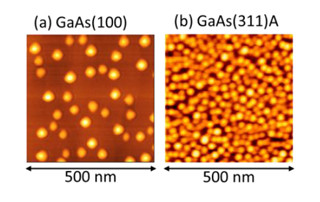 NIMS、世界最高クラスの面密度を実現する量子ドット形成技術を開発