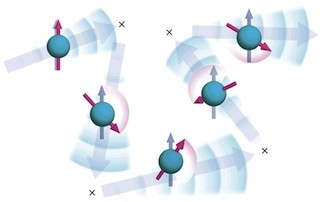 失われた電子スピンの情報が、実は保存されていたことを発見 - 理研と東大