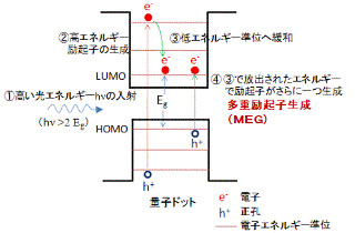 電通大、量子ドット太陽電池で励起子を高効率で生成するプロセスを解明