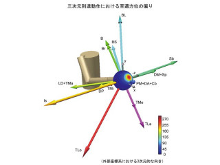 東大、運動学習では少しずつ記憶を忘れる方が運動制御に最適と理論的に証明