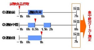 カゴメ、運動前と途中のトマトジュースの摂取が疲労を低減することを実証