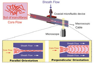 東大など、マイクロ流体デバイスを用いてナノファイバの隊列制御に成功