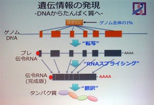 スパコンでがんに挑む - 先端技術の活用で変わる治療研究の最前線(前編)