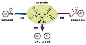 名大、環境低負荷・低コストの「脱エステル型C-Hカップリング法」を開発