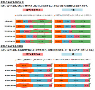 元ヤン・元ギャルはSNS利用率が低くテレビ視聴時間は長い - 博報堂DY調査