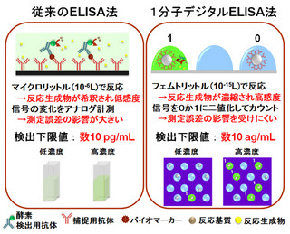 従来の100万倍の感度 - JSTと東大が「1分子デジタルELISA法」を開発