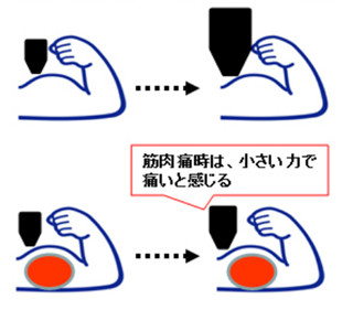 味の素、独自配合のアミノ酸素材が筋肉疲労の早期回復効果を持つことを確認