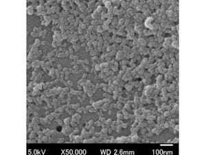 東北大など、独自のナノ技術を用いて抗がん薬「SN-38」のナノ純薬化に成功