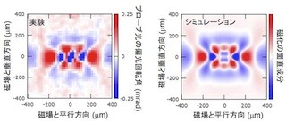 東大、光パルス照射で磁気の波の発生と伝播制御に成功