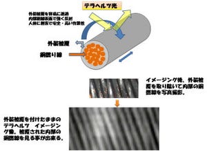 東北大、「テラヘルツ光」を用いて絶縁被覆電線内の銅素線の可視化に成功