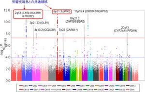 理研、アトピー性皮膚炎の発症に関連するゲノム領域として新たに8つを発見