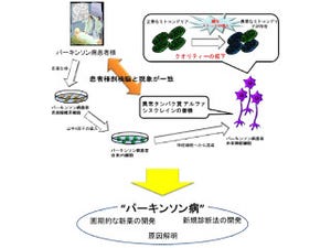 慶応大など、パーキンソン病患者由来iPS細胞で病態メカニズムの再現に成功