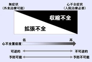 名大、糖尿病による心不全の発症メカニズムを解明 - 治療薬候補も発見