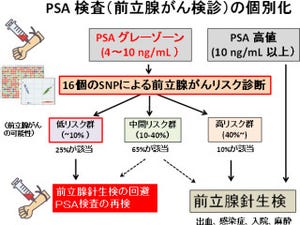 理研、PSA検査法を補完する独自の前立腺がん検査法を開発