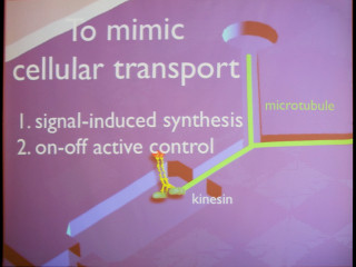 国際生体分子デザインコンテスト「BIOMOD JAPAN MEETING 2012」が開催