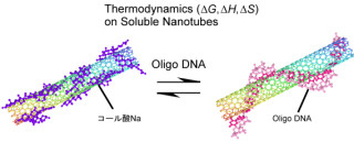 九大、CNTと分子の相互作用が熱力学により定量的に評価できることを解明