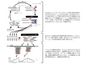 東大、次世代シーケンサとIVV法を組み合わせた「IVV-HITSeq法」を開発