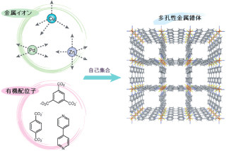 京大、水上を高速で泳ぎ続けることのできる化学モータを開発