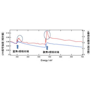 JAEAなど、放射線で生体内のDNAが損傷する際の新たな損傷機構を発見