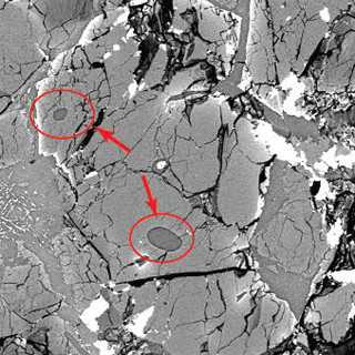 火星の水の起源は地球と同じ火星-木星軌道間の小惑星帯 -東工大などが解明