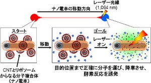 産総研、CNTとリポソームからなる分子伝送システム「ナノ電車」を開発