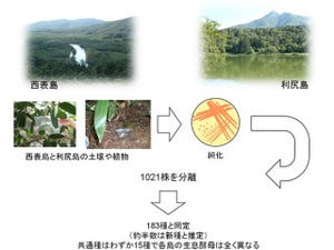 理研など、酵母の調査から日本は非常に生物の多様性を有していることを証明