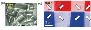 東大など、イミダゾールが強誘電性や反強誘電性を持つことを発見