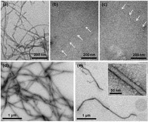 セルロースミクロフィブリルの引張破断強度は鋼鉄の約10倍 - 東大が解析