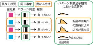 柔軟な認識を可能にする神経機構は「嗅周囲皮質」にあり - 産総研と筑波大