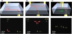 京大、微小領域での3次元光立体配線に成功