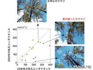 気候変動による湿潤化で東シベリアの森林の枯死が進行中 - JAMSTEC