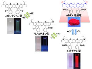 理研、仕組みが不明だった有機蛍光性色素「ABPX」の発光メカニズムを解明