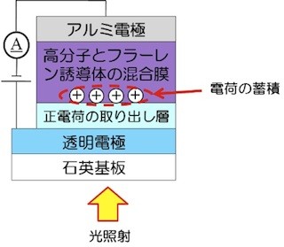 筑波大、発電中の高分子太陽電池の劣化の原因を解明